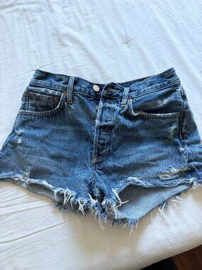 Agolde Parker Vintage Cut Off Short
